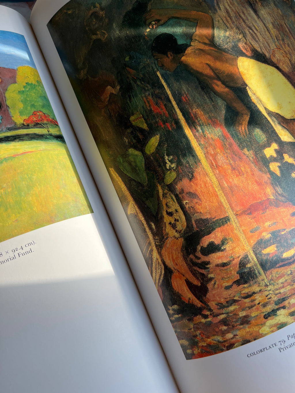 Gauguin A Retrospective