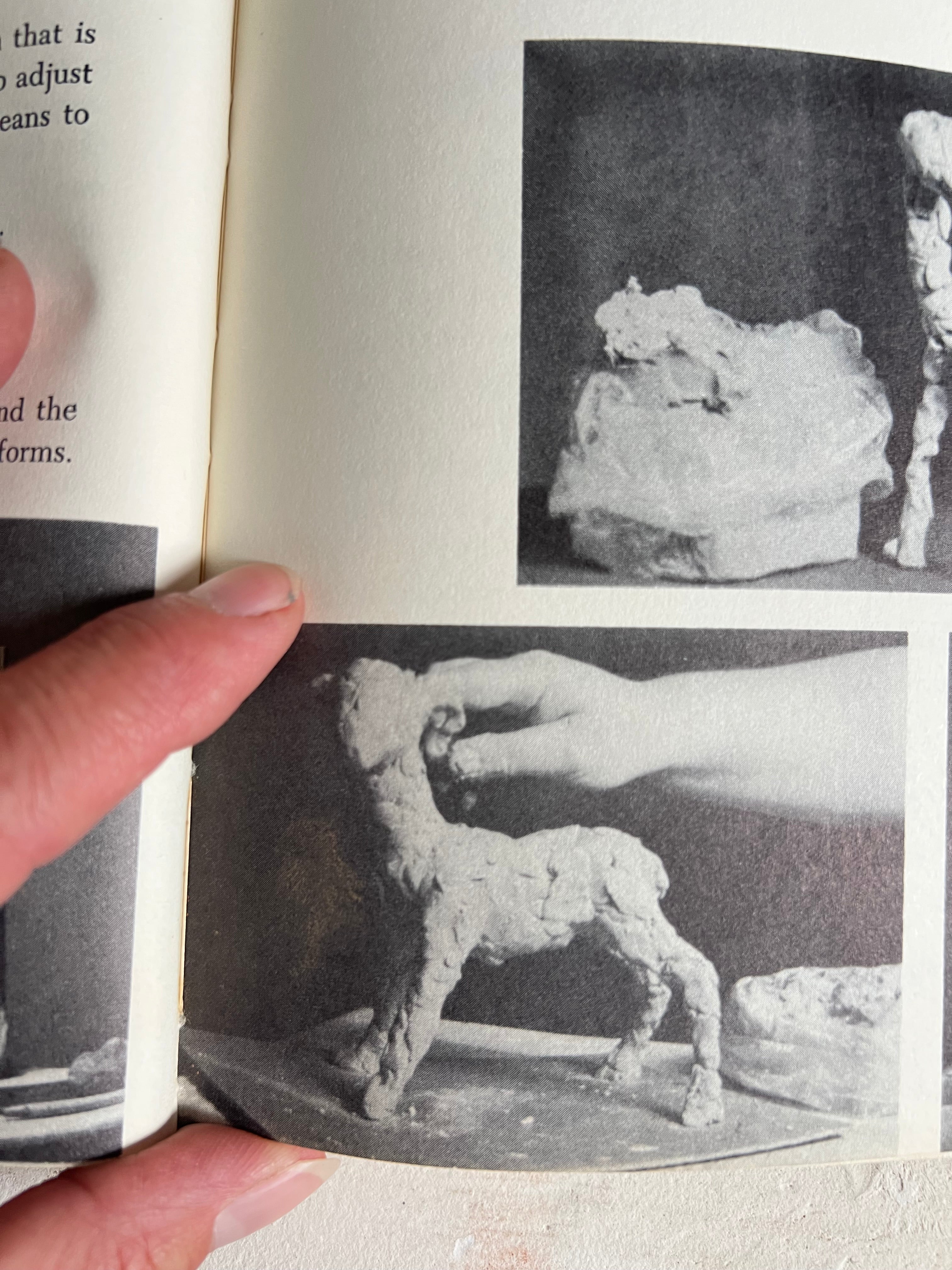 Sculpture by Lillian Johnson